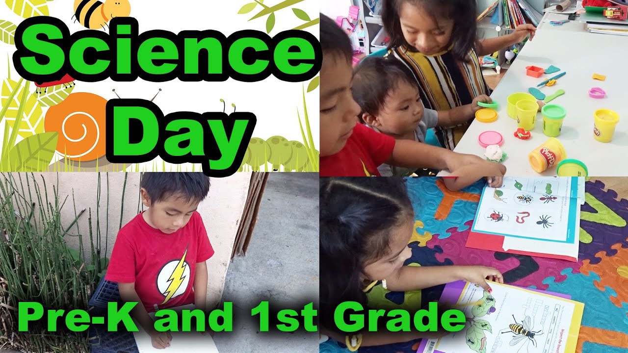 Homeschool Science Without Curriculum | 1st Grade and Pre-K