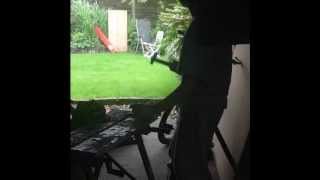 Hitting a 12 gauge shotgun shell with a hammer