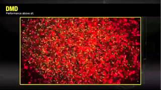 Maxon DMD Demo Video