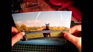 Snapfish Photo Review