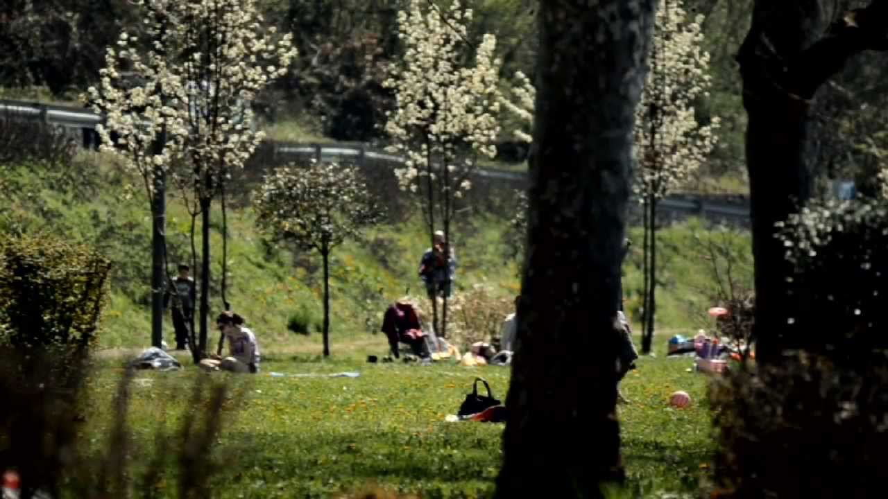 Lago di Viverone, un territorio da vivere