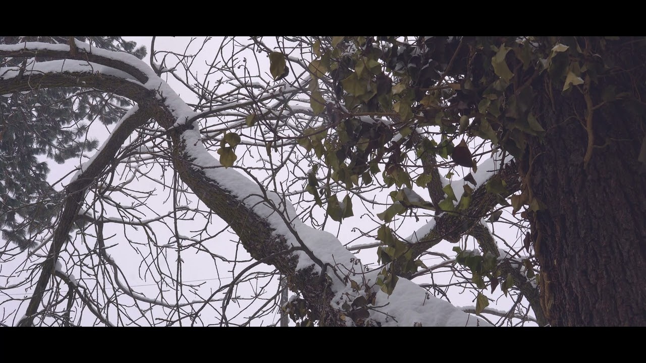 Watch Brink - Zach Wirchak (Visual Music Video) on YouTube Watch Brink - Zach Wirchak (Visual Music Video) on YouTube
