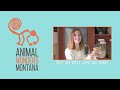 Kemosabe Q & A - So Much Kemosabe!