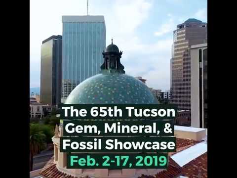 The 2019 Tucson Gem, Mineral, and Fossil Showcase