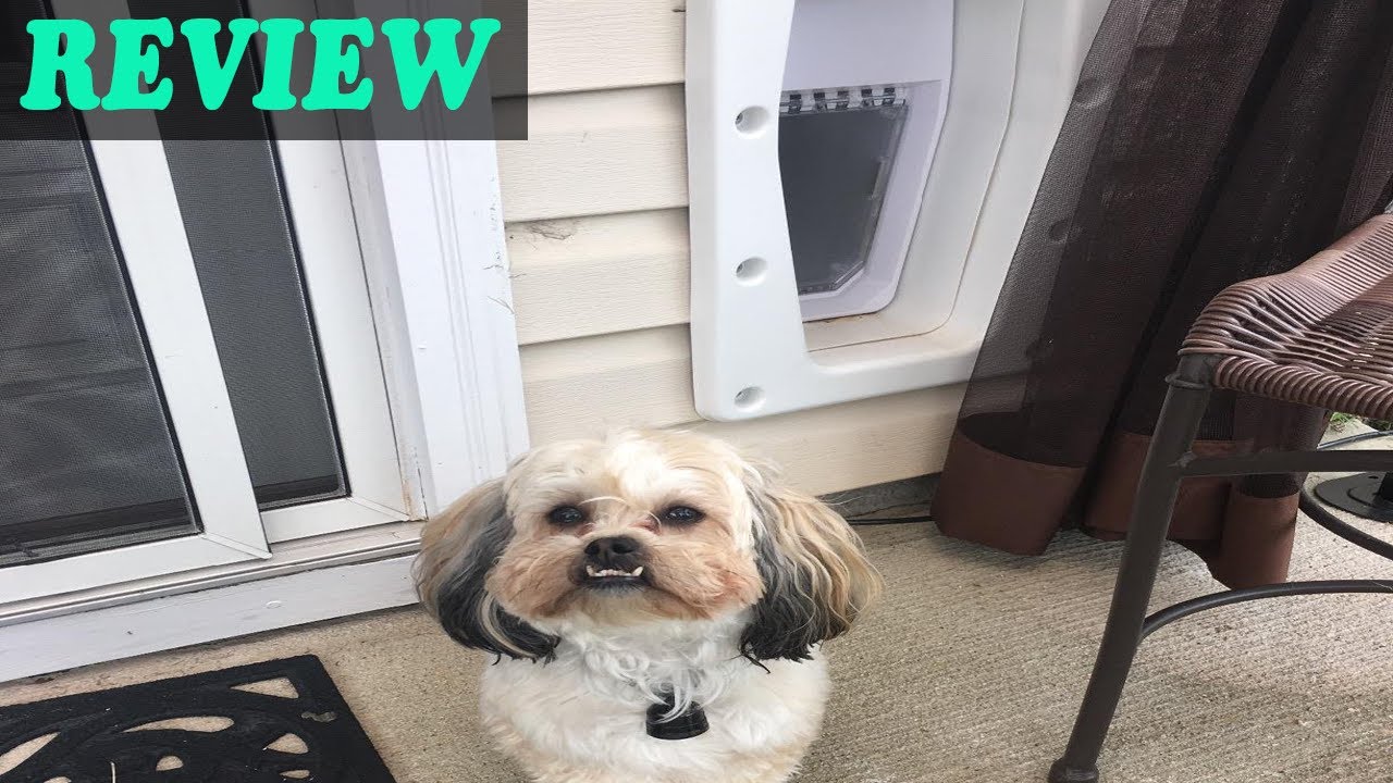 Review PetSafe Electronic SmartDoor 2019 YouTube