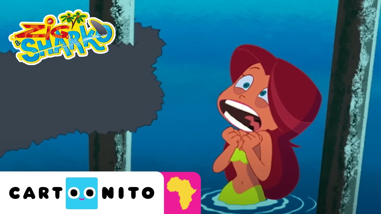 boomerang make video into & Boomerang YouTube   Trapped In Sharko  A  Fence   Zig Africa