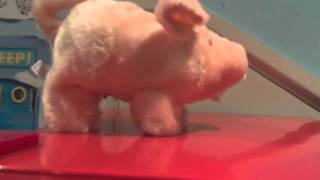 Pig Walks And Oinks Review.