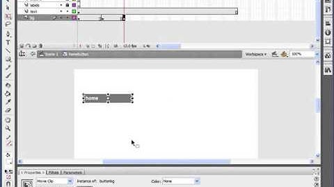 Course learn to build a website by Flash CS3 , Lesson 10
