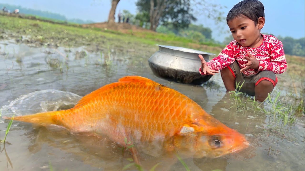Best Fishing Video | Amazing Boy Catching Fish With Hand In Mud Water ...