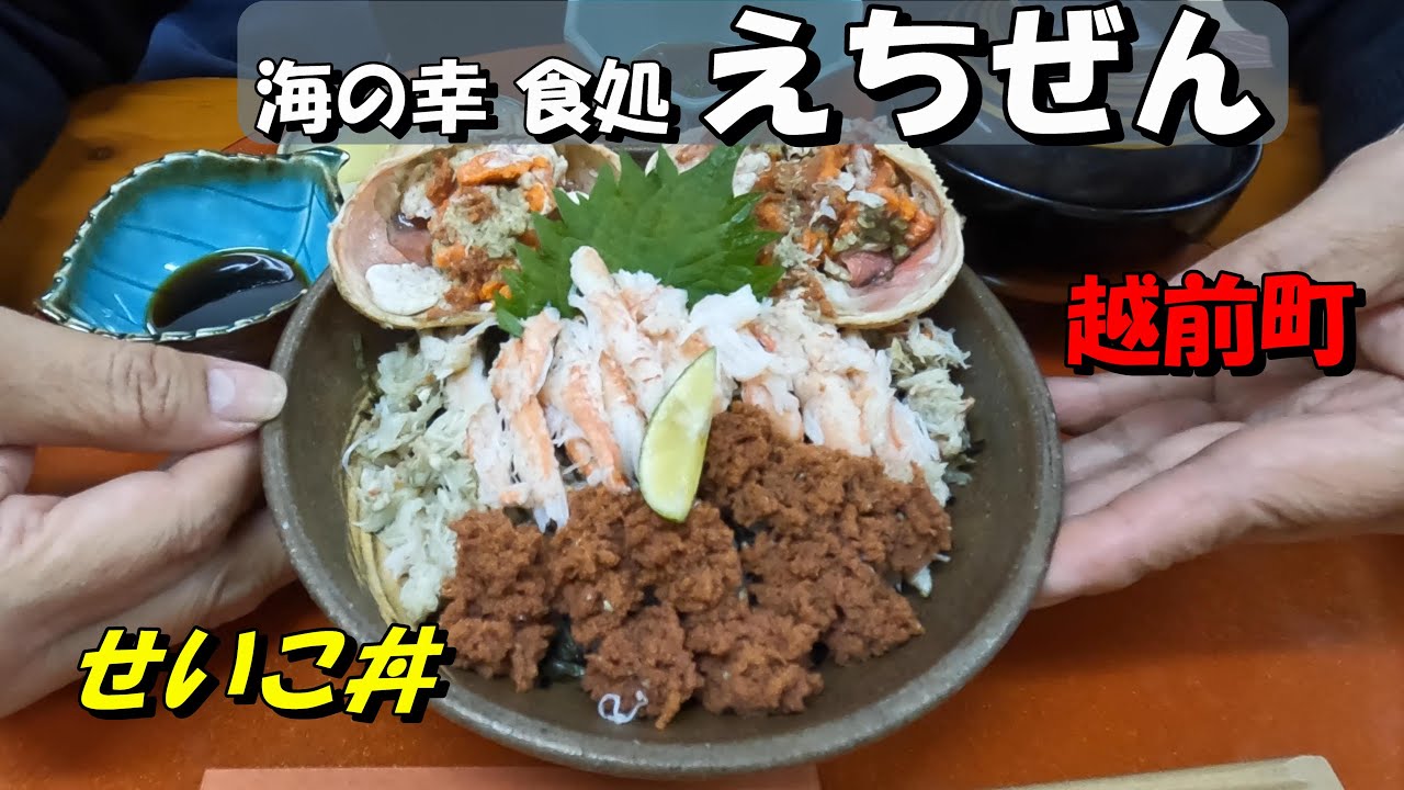 【海の幸　食処　えちぜん】せいこ丼とせいこ定食をたべてきました。どうしても「カニの刺身」が食べたかったので越前町の鮮魚店で活蟹を買って自宅で「さしみ」「蒸し」「焼き」に挑戦しましたが・・・。