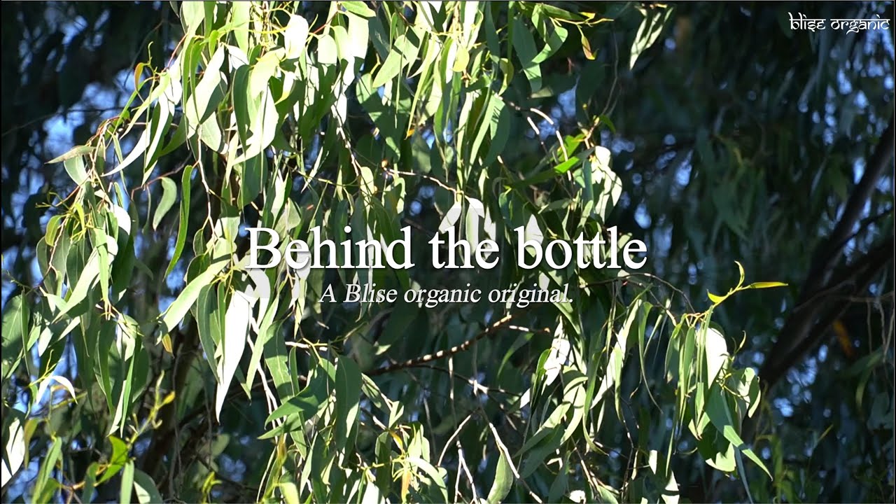 Behind the bottle - Sourcing Eucalyptus Oil