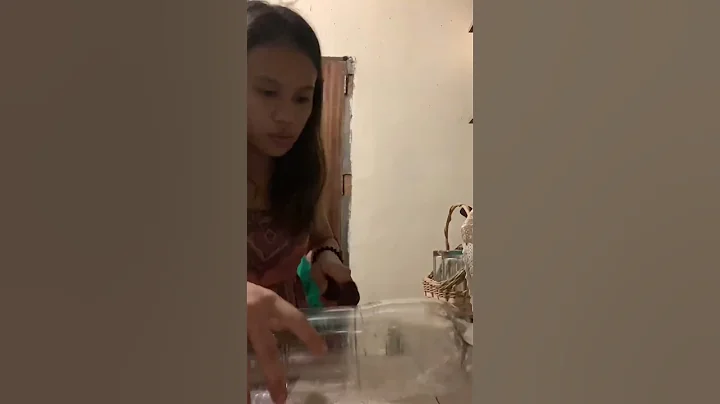 DIY PROJECT: Pencil Holder