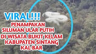 VIRAL!! PENAMPAKAN SILUMAN ULAR PUTIH