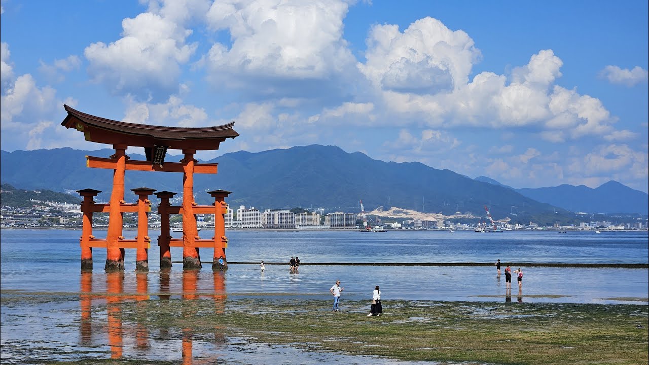 Miyajima, Itsukushima Shrine,Hiroshima【4K Japan Walk】