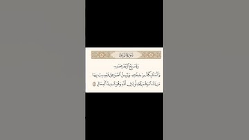 #ويسبح الرعد بحمده #سبحان_الله_وبحمده #القارئ #إسلام صبحي