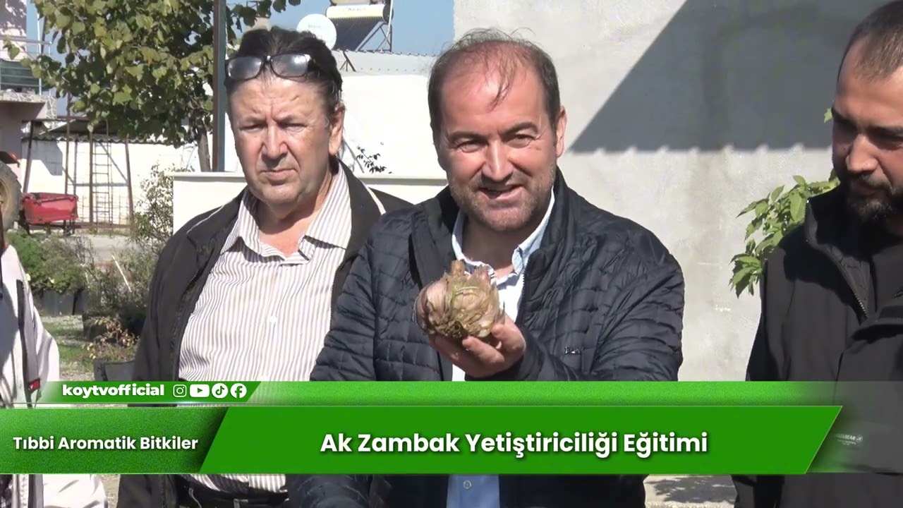 AK ZAMBAK YETİŞTİRİCİLİĞİ EĞİTİMİ | TIBBİ AROMATİK BİTKİLER