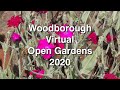 Woodborough Virtual Open Garden Event 2020