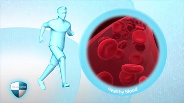 Update Blushield Intro 2019