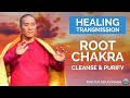 The ultimate root chakra healing meditation  cleanse  purify your being  master sri avinash