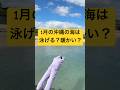 1月の沖縄は海泳げる?服装は?