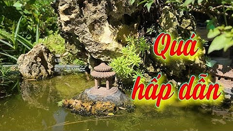 SH.6534. Nhiều tiểu cảnh non bộ tầm nhỏ mini đẹp giá cũng rẻ. Đth liên hệ 0985.806.999.