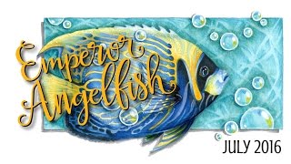 Speed Color- Copic & Prismacolor Emperor Angelfish by VanillaArts.com