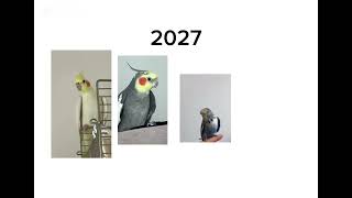 . Kuşların Ölüm Ve Geliş Tarihleri