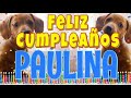 ¡Feliz Cumpleaños Paulina! (Perros hablando gracioso) ¡Muchas Felicidades Paulina!