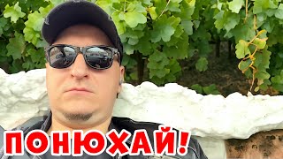 ЛУЧШИЕ МУЖСКИЕ АРОМАТЫ (ДУХИ) НА ВЕСНУ.