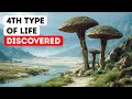 Ancient Life Forms That Don’t Belong Anywhere on the Tree of Life
