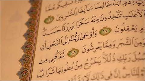 ابو بكر الشاطري / سورة النحل كامله ........ تسجيل قديم ونادر