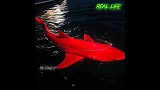 Real Life Red Shark🦈vs Free Fire In-Game Skin! 😱 #short #shortfeeds #viralshorts #megalodonalphascar