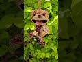Catching Good Luck! 🎣✨ Curly Hair Doll ASMR SYL97210#shorts