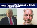 Calls to release Epstein Files grow