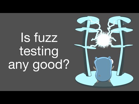 Fuzz testing with