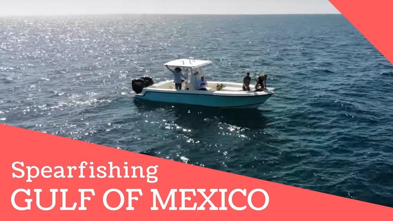 10 minutes of boating adventure: Spearfishing Hog Fish in the Gulf of Mexico