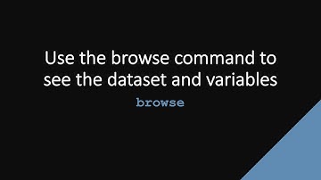 SDAS Stata TechTok - browse