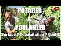 POULAILLER & POTAGER / Surface - Cohabitation - Coût...