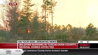 Large wildfire burning in Tuscaloosa County, impacting several homes