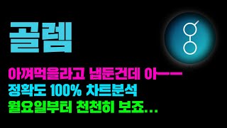 골렘 [긴급] 정확도 100% 차트분석, 아껴먹을라고 냅둔건데 음식이 냉장고 탈출함...아 ㅡㅡ #코인시황