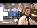 Docu profession veto  animaux