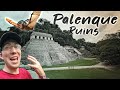 ATTACKED by BATS! 😱 Palenque Mayan Ruins, Chiapas Mexico