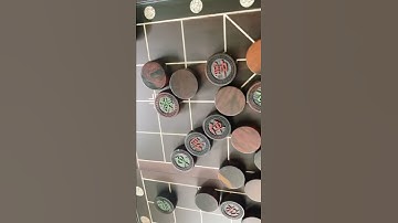 BỘ CỜ TƯỚNG GỖ TRẮC VÀ SỪNG TRÂU