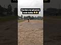 Garden me ghumne wale ladke #cricket #viralvideo #ipl2024