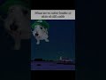 descansa en paz curly ð te vamos a extrañar ð ð¢ #descansaenpaz #curlyfernanfloo