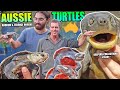 Australian turtles w andrew  terence rogers  keepers collections  ep 7