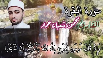 تلاوه هادئة ماتيسر من سورة البقرة.. حوار سيدنا موسي مع قومه