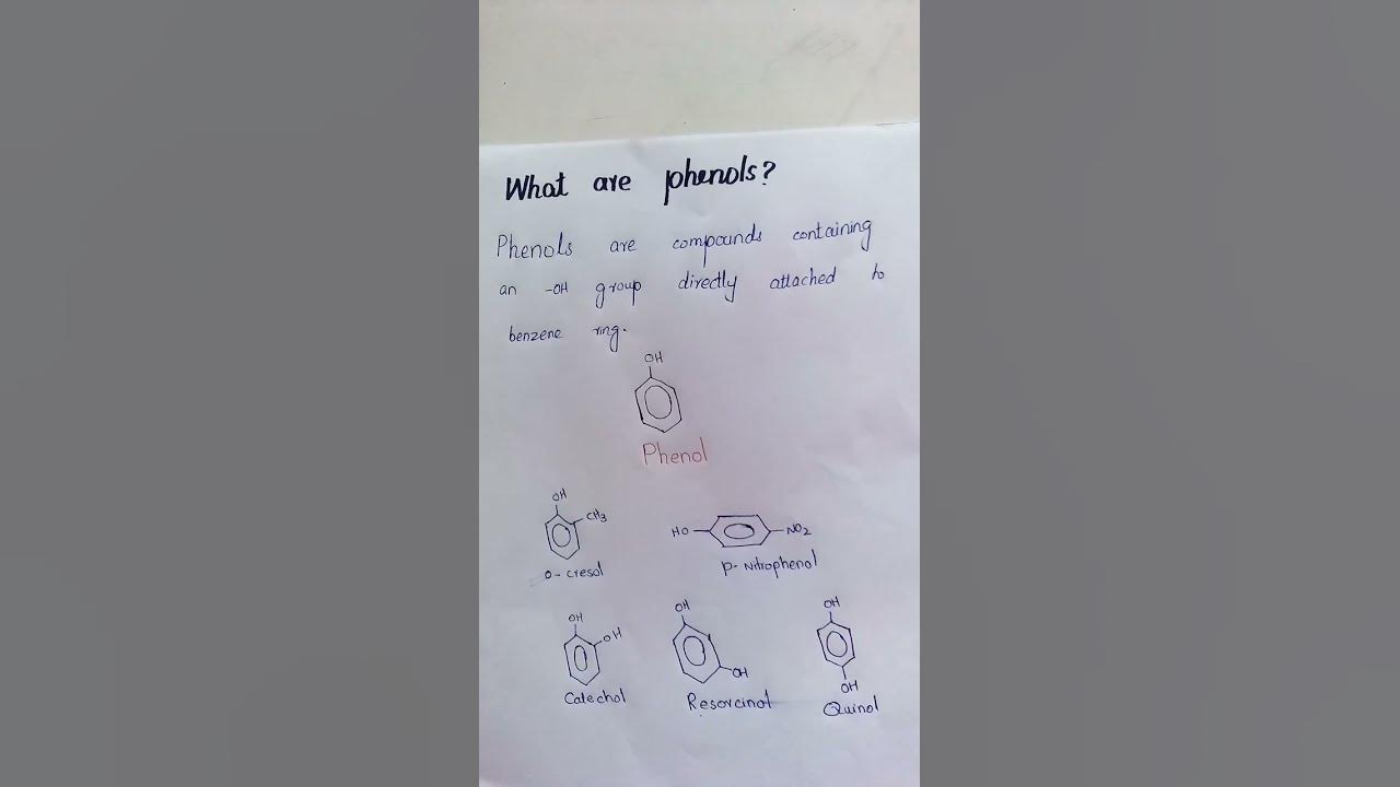 what are phenols class 12 what is phenol phenols organic chemistry