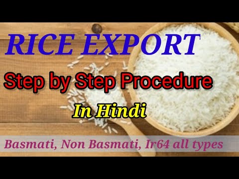 Basmati, Non Basmati, IR64 RICE EXPORT FROM INDIA || How to Export Basmati Rice from India