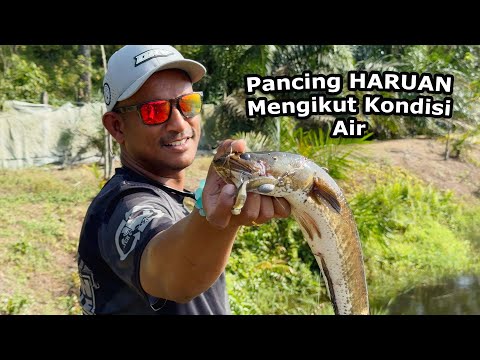 Tanya Pak Roob | Gewang Pancing Haruan Sesuai Mengikut Kondisi Air